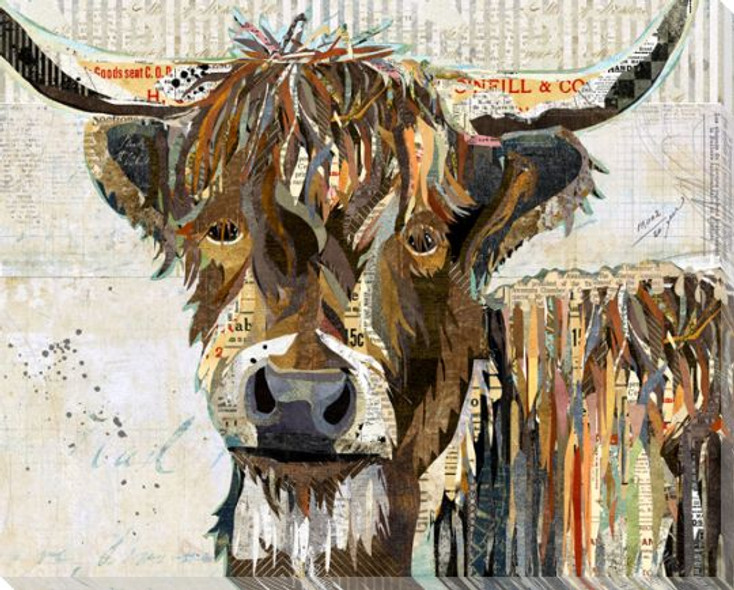 Highland Cow Wrapped Canvas Giclee Art Print Wall Art