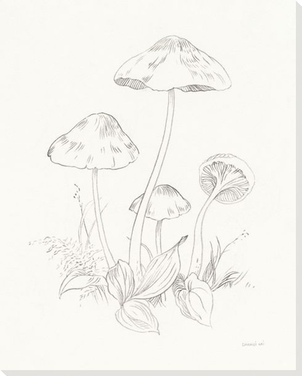 Nature Sketchbook III Mushrooms Wrapped Canvas Giclee Art Print Wall Art