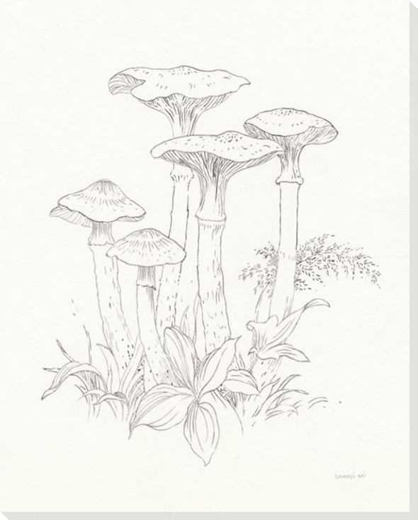 Nature Sketchbook I Mushrooms Wrapped Canvas Giclee Art Print Wall Art