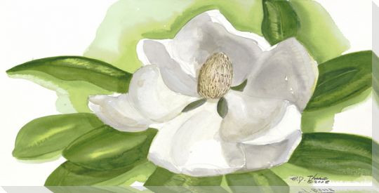 Magnolia Flower on White Wrapped Canvas Giclee Print Wall Art