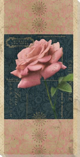 Carte Postale Roses 1 Wrapped Canvas Giclee Art Print Wall Art