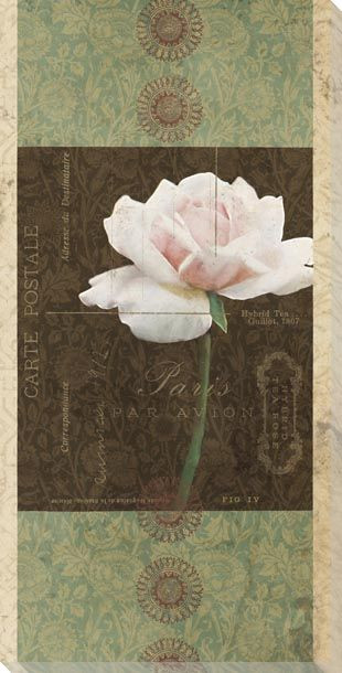 Carte Postale Roses 2 Wrapped Canvas Giclee Art Print Wall Art