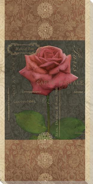 Carte Postale Roses 4 Wrapped Canvas Giclee Art Print Wall Art