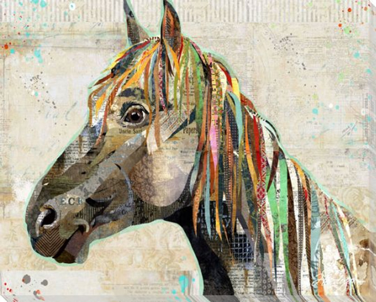 Wild Horse Wrapped Canvas Giclee Art Print Wall Art