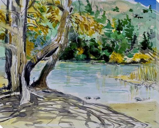 Hidden Pond Wrapped Canvas Giclee Art Print Wall Art