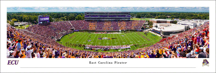 East Carolina Pirates Football 50 Yard Line Panoramic Art Print