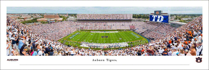 Auburn Tigers Football 50 Yard Line Panoramic Art Print