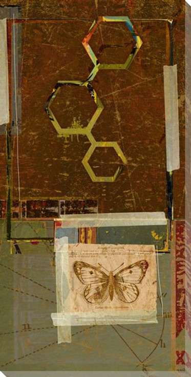 Science Moth with Symbolic Compound Wrapped Canvas Giclee Print