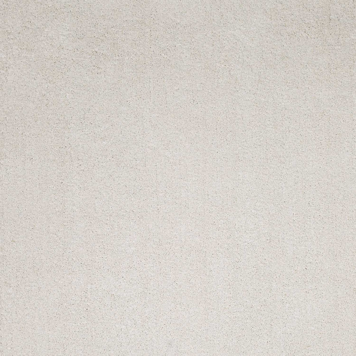 2' x 4' Polyester Ivory Area Rug