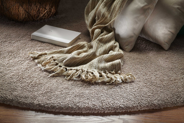 2' x 4' Beige Indoor Shag Rug