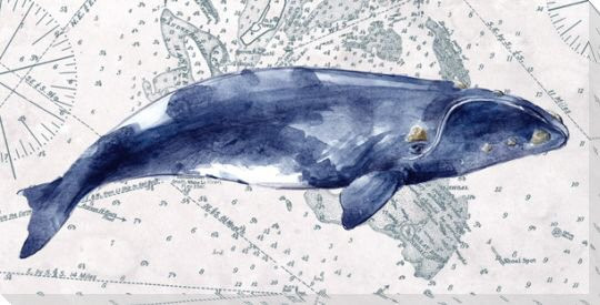 Deep Sea Watercolor Right Whale Wrapped Canvas Giclee Print