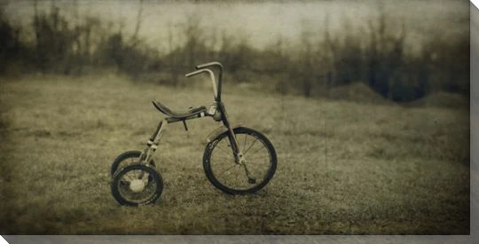 Sowen's Shot Tricycle Wrapped Canvas Giclee Print Wall Art