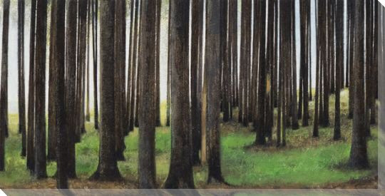 Moss Forest Floor Left Wrapped Canvas Giclee Print Wall Art