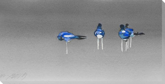 Gull Birds I Wrapped Canvas Giclee Print Wall Art