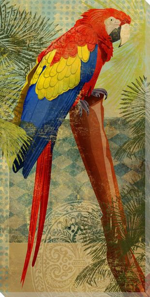 Perching Parrot Bird Wrapped Canvas Giclee Print Wall Art