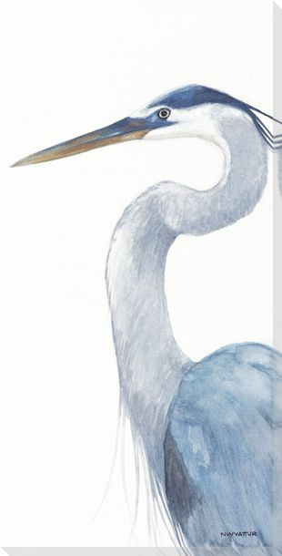 Blue Heron Bird Pose II Wrapped Canvas Giclee Print Wall Art
