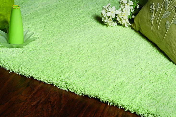 3' x 5' Spearmint Green Indoor Shag Rug
