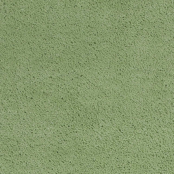 3' x 5' Spearmint Green Indoor Shag Rug