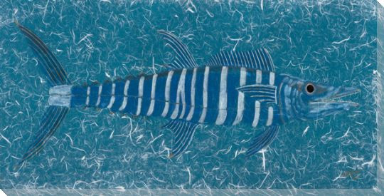 Stealth Wahoo Fish Wrapped Canvas Giclee Print Wall Art