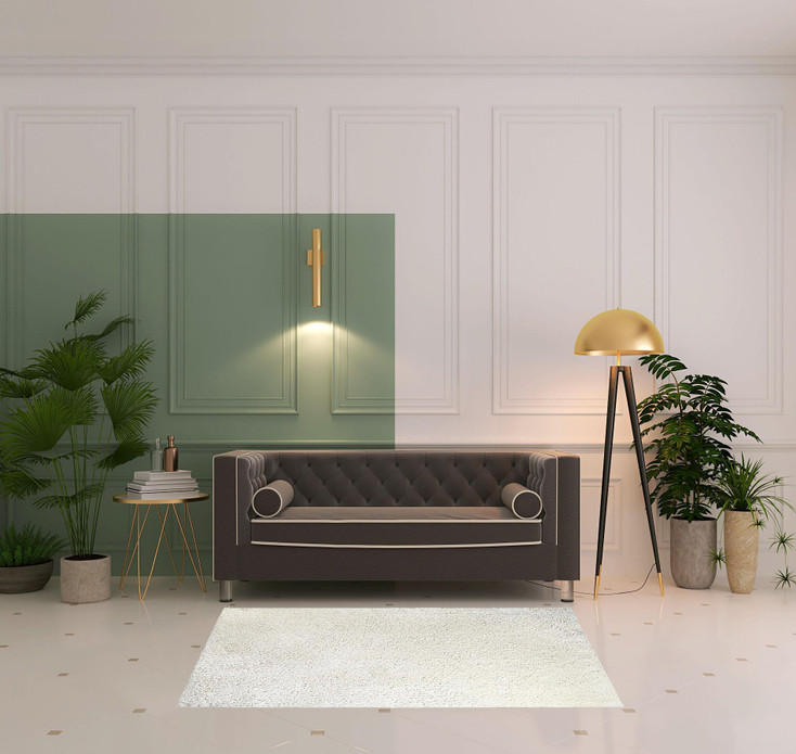 4' x 6' Ivory Shag Stain Resistant Area Rug