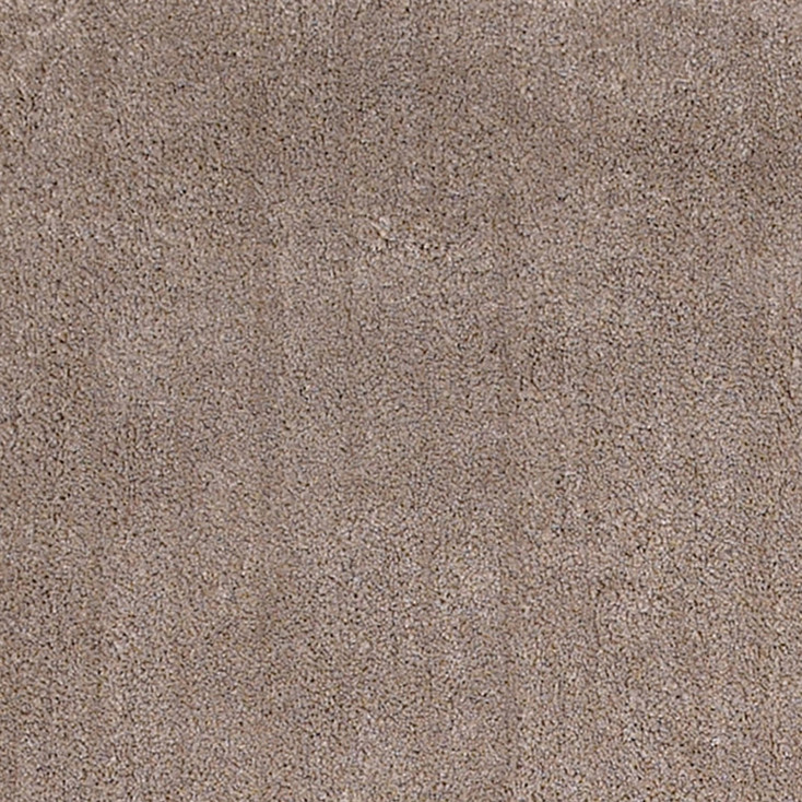 5' x 7' Beige Indoor Shag Rug