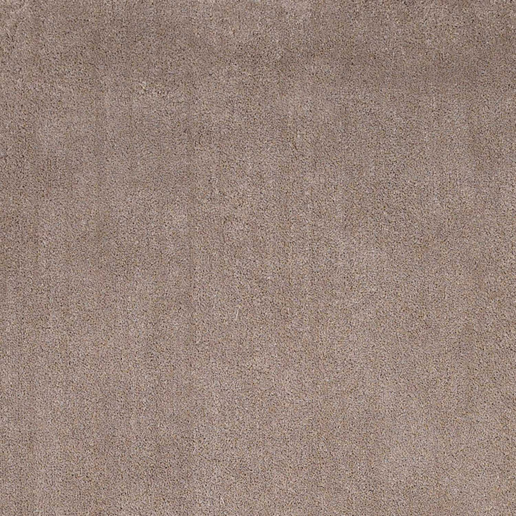 5' x 7' Beige Indoor Shag Rug