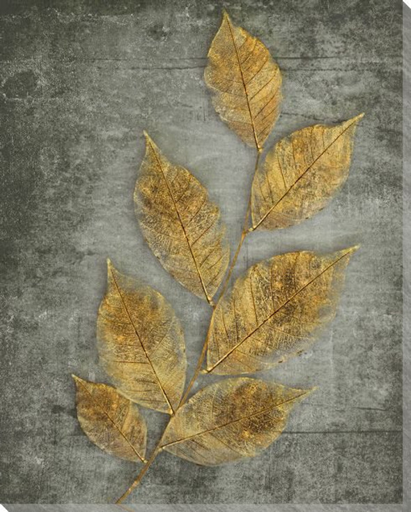Golden Leaves 1 Wrapped Canvas Giclee Print Wall Art