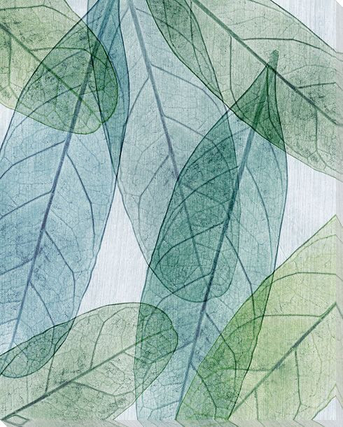 Leaves Intersecting Cool 1 Wrapped Canvas Giclee Print Wall Art