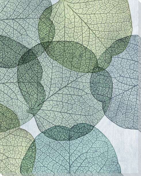 Leaves Intersecting Cool 2 Wrapped Canvas Giclee Print Wall Art