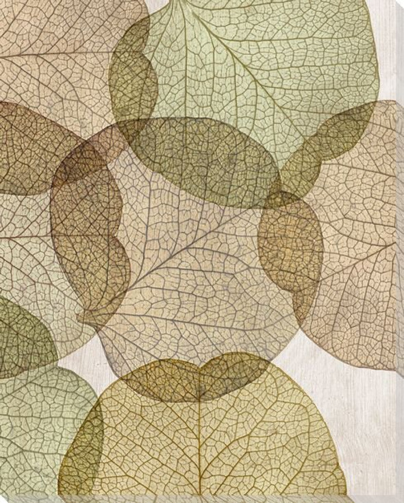 Leaves Intersecting Neutral 2 Wrapped Canvas Giclee Print Wall Art