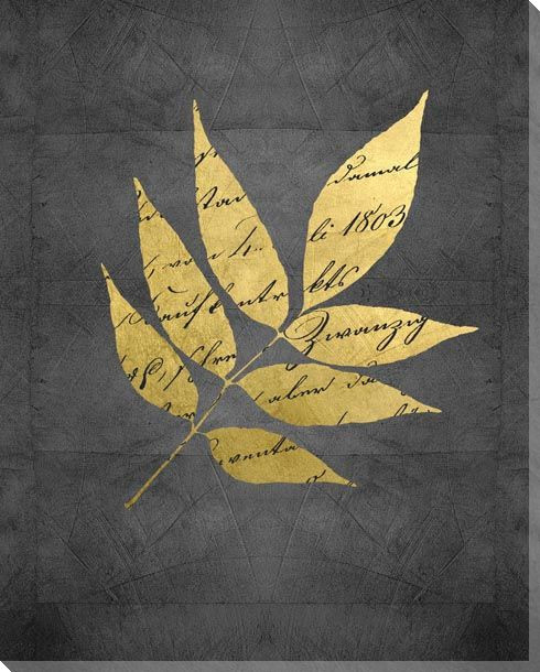 Natures Discourse Leaf II Wrapped Canvas Giclee Art Print Wall Art