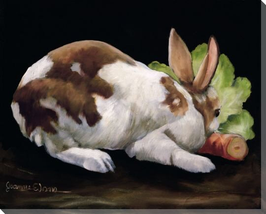 A Simple Supper Bunny Rabbit Wrapped Canvas Giclee Print Wall Art