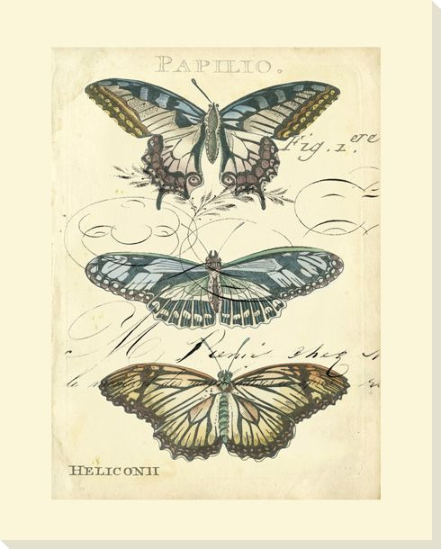 Butterfly Ephemera I Wrapped Canvas Giclee Print Wall Art