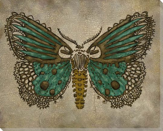 Lace Wing Butterfly I Wrapped Canvas Giclee Print Wall Art