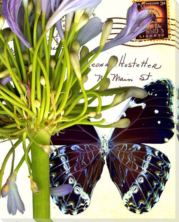 Lilies of the Nile Butterfly 3 Wrapped Canvas Giclee Print