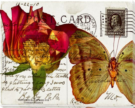 Bees Butterflies & Postcards III Wrapped Canvas Giclee Print