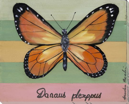 Danaus Plexippus Butterfly Wrapped Canvas Giclee Print Wall Art