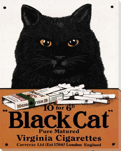 Black Cat Wrapped Canvas Giclee Print Wall Art