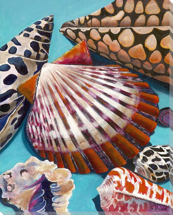 Bay Scallop Mix Wrapped Canvas Giclee Print Wall Art
