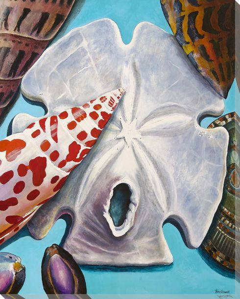 Miter Shell Mix Wrapped Canvas Giclee Print Wall Art