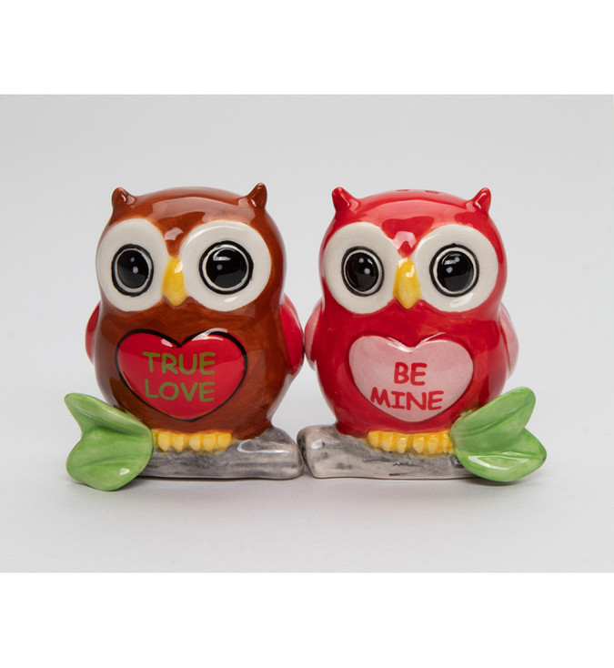 Valentine Owl Bird Porcelain Salt and Pepper Shakers, Set of 4