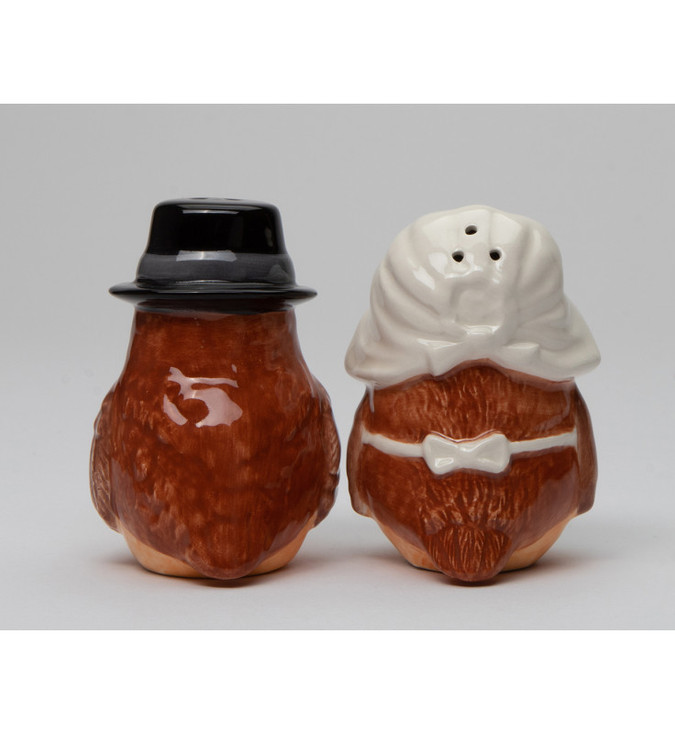 Male and Female Pilgrim Owl Bird Porcelain Salt and Pepper Shakers, Set of 4