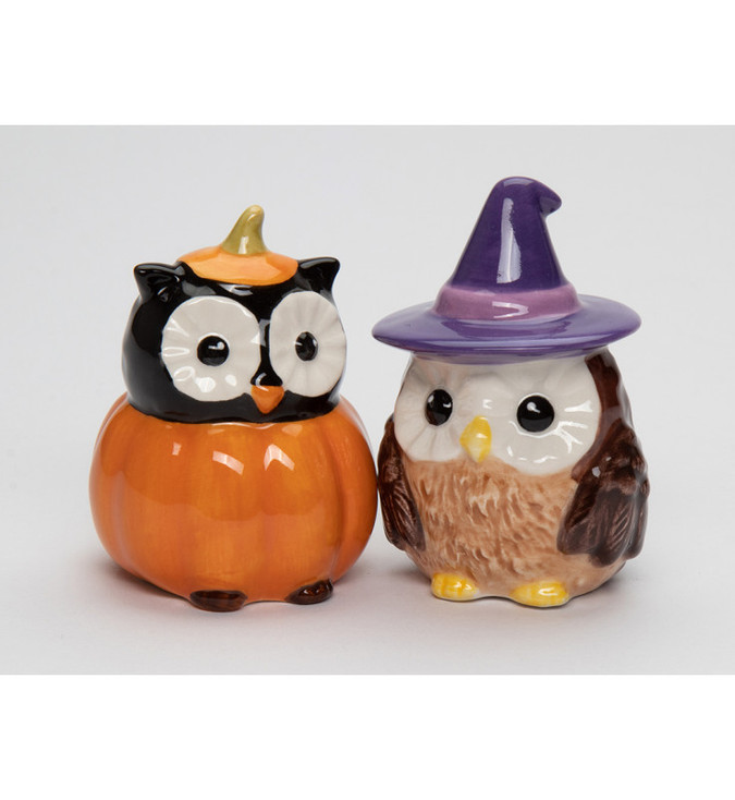Witch Owl Bird and Pumpkin Owl Bird Porcelain Salt and Pepper Shakers, Set of 4