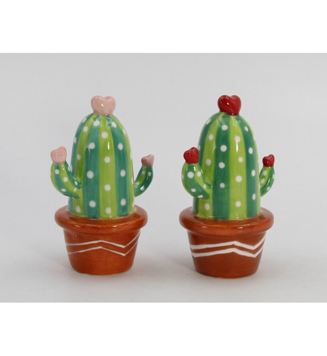 Valentine's Cactus In Orange Pot Porcelain Salt and Pepper Shakers, Set of 4