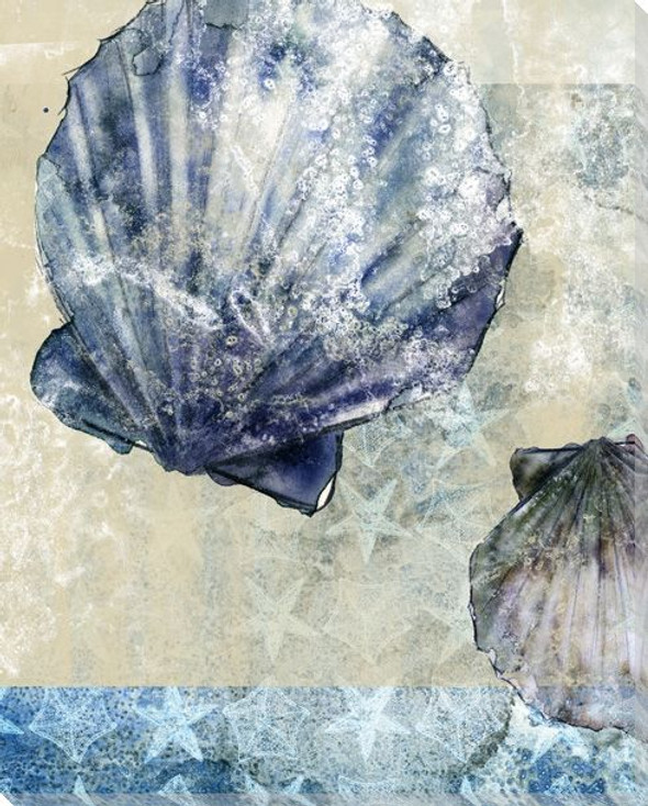 Beachcombing Shell 2 Wrapped Canvas Giclee Print Wall Art