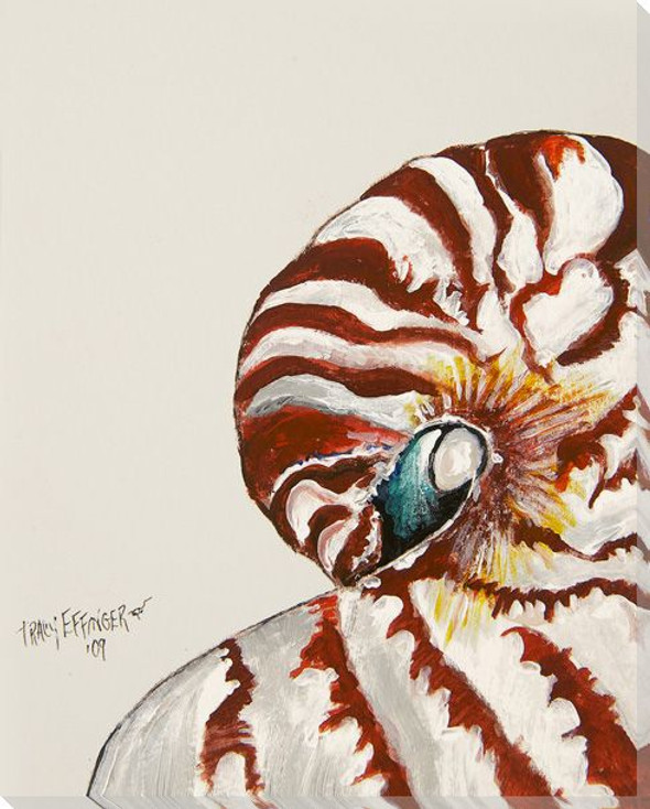 Nautilus Shell Side View Watercolor Wrapped Canvas Giclee Print