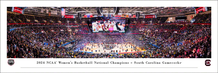 2024 South Carolina Gamecocks Women's Basketball Champs Panoramic Art Print