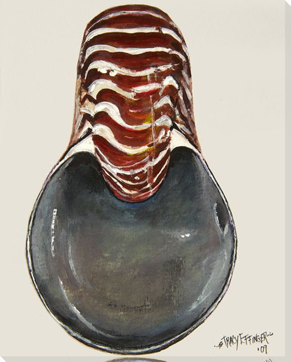 Nautilus Shell Front View Watercolor Wrapped Canvas Giclee Print