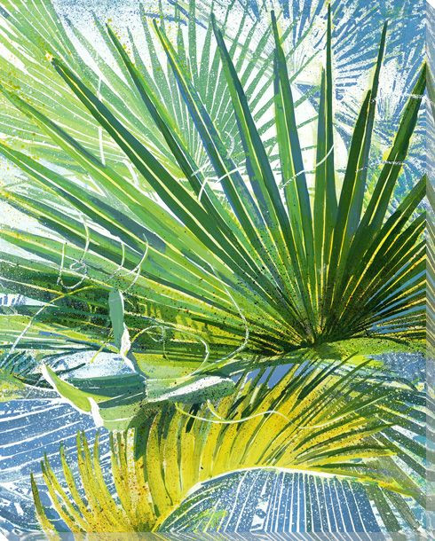 Blackbeard's Palm 4 Wrapped Canvas Giclee Print Wall Art
