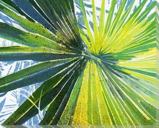 Blackbeard's Palm 6 Wrapped Canvas Giclee Print Wall Art